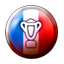 Win French Division 1