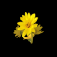 Shenmue II: Flower Power