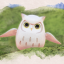 Owl Spotter