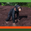 Tuungane Project Chimpanzees