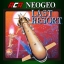 ACA NEOGEO LAST RESORT (Win 10)