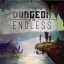 Dungeon of the Endless (Win 10)